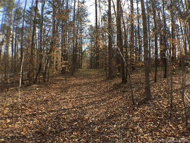 1 Lytton Farm Rd unit 1, Troutman, NC 28166 - photo 4