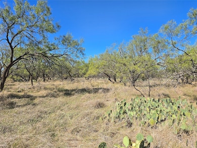 8447 County Road 210, Clyde, TX 79510 - photo 3