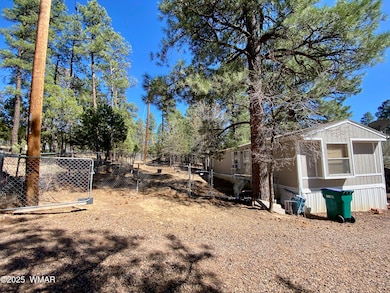 640 S Clark Rd, Show Low, AZ 85901 - photo 4