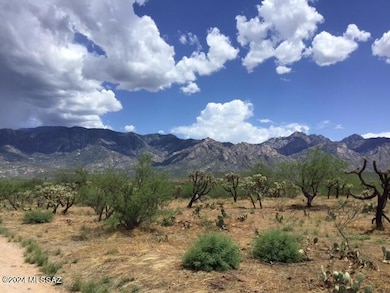 3611 E Rollins Rd, Catalina, AZ 85739 - photo 5