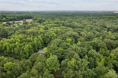 Bird's eye view of a forest