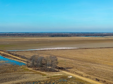 0 County Road 136, Hickory Ridge, AR 72347 - photo 4