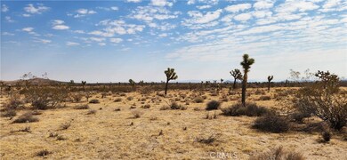 60220 Drexel Rd, Joshua Tree, CA 92252 - photo 4
