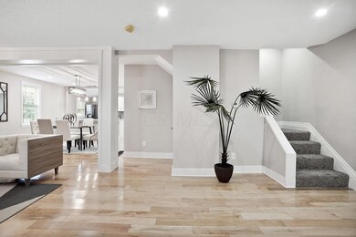 Large open entry