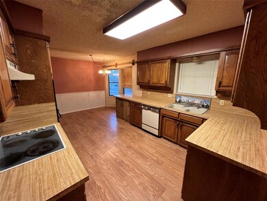 106 Camelot Dr, Weatherford, TX 76086 - photo 5