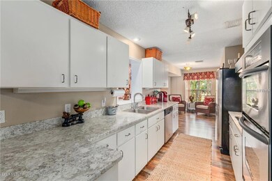 13246 County Road 103, Oxford, FL 34484 - photo 5