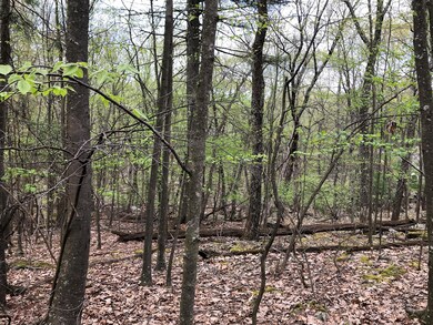 126 Nelson Rd, Milford, PA 18337 - photo 2