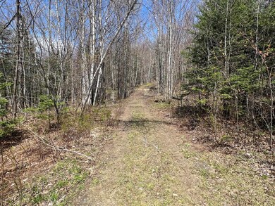 - Back Farm Rd, Clarksville, NH 03592 - photo 2