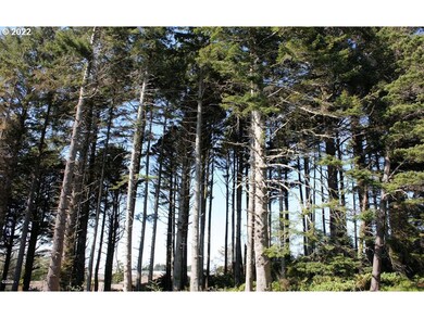 0 SE 16th St unit 22228379, Lincoln City, OR 97367 - photo 7