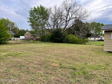 809Wilkinsbackyard