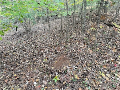 0 Jericho Rd unit 25758594, Walker, WV 26180 - photo 4