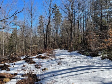 0 Reed Rd unit 4900137, Marlow, NH 03456 - photo 6