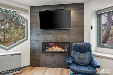 Gas Fireplace