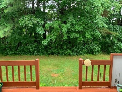 Back yard4