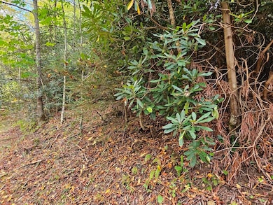 14b Lot Pennington Branch Rd, Damascus, VA 24236 - photo 6