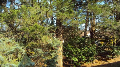 21 Norwalk Ave, Whiting, NJ 08759 - photo 5