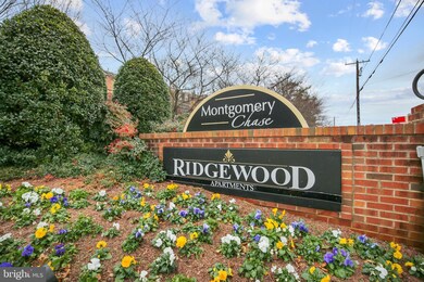 3806 Chesterwood Dr, Silver Spring, MD 20906 - photo 2