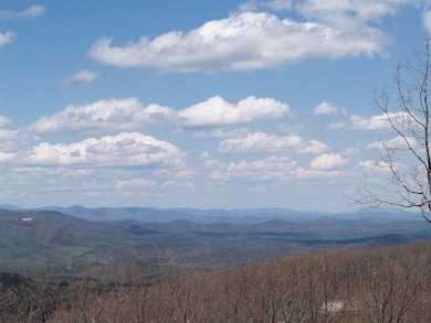 519 Lower Sassafras Pkwy, Jasper, GA 30143 - photo 4