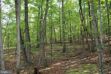 0 Dawn Heights Trail, Winchester, VA 22603 - photo 7