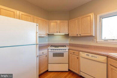 1100 Paca Dr, Edgewater, MD 21037 - photo 6