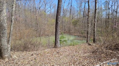 Pond is located close to Ravens Ridge and Blowing Cave Road