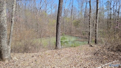 Pond is located close to Ravens Ridge and Blowing Cave Road