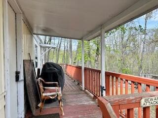 image2 (8)