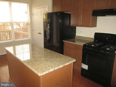 21476 Welby Terrace, Broadlands, VA 20148 - photo 7