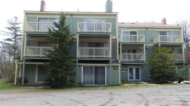 3 Fox Meadow Ln unit 3G, Dover, VT 05356 - photo 3