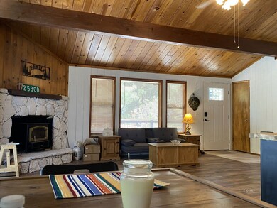 25300 Marion Ridge Dr, Idyllwild-Pine Cove, CA 92549 - photo 4