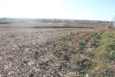 613 Clark St, Oakland, IA 51560 - photo 2