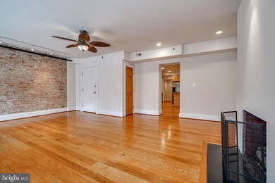 509 Cathedral St unit D, Baltimore, MD 21201 - photo 4