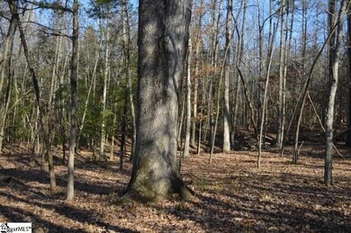 00 Union Hwy, Enoree, SC 29335 - photo 3