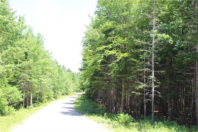 The North Point Road continues past...