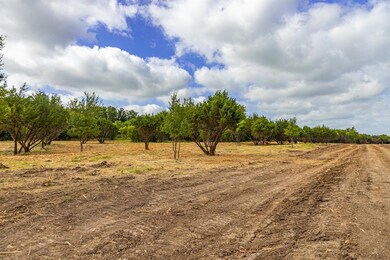 TBD 2 Ox Mill Creek Rd, Weatherford, TX 76087 - photo 7