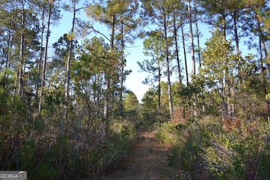 0 Sandpiper Ln unit TRACT 1, Swainsboro, GA 30401 - photo 6