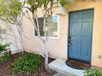 M Front Door 1