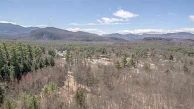 Drone shot from above the trees on the subject
