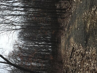 0 West Riverside Dr pic1