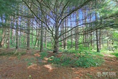 Mature trees
