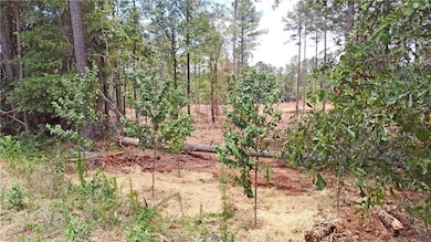 View of nature
