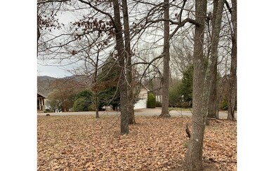 Additional View