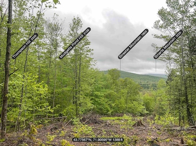 Adjacent Land