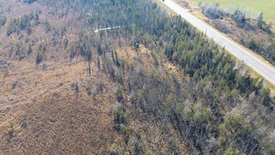 Highway 45, Birnamwood, WI 54414 - photo 7