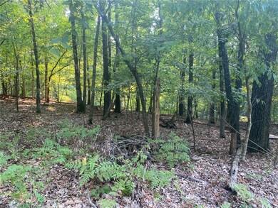 Lot 6 Kelham Ln, Bella Vista, AR 72715 - photo 6