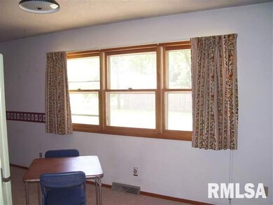 205 Half Moon St, Lincoln, IL 62656 - photo 4