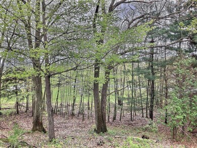 1605 Newton Ransom Blvd, Clarks Summit, PA 18411 - photo 3