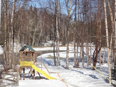 Pond view - back yard area