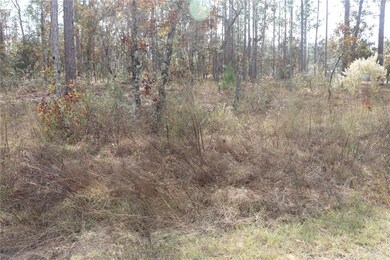 00 Geranium Ave, Dunnellon, FL 34431 - photo 2