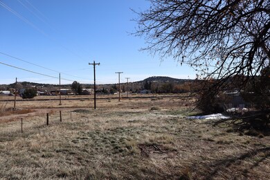 501 W 4th St, Walsenburg, CO 81089 - photo 6